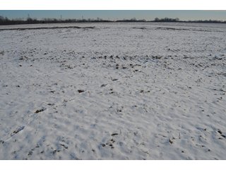 54.7 Acres with 50 tillable and 4.3 wooded.  Surrounded by heavy deer population on CRP land.  Great trophy deer hunting on established food plots.  Hunting tower.

Receive income on tillable acres while abundance of deer hunting on established food plot. - Great Investment Opportunity - Tillable Land, Recreation & Building Site